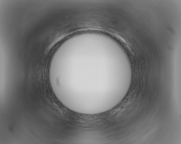 X0000112881255200908211044