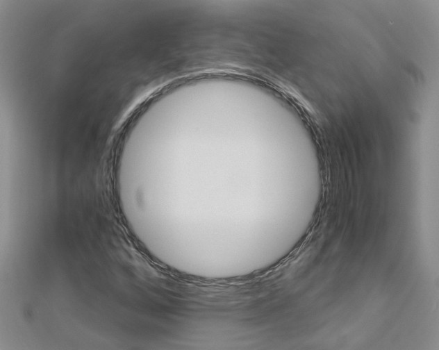 X0000112881256200908211044