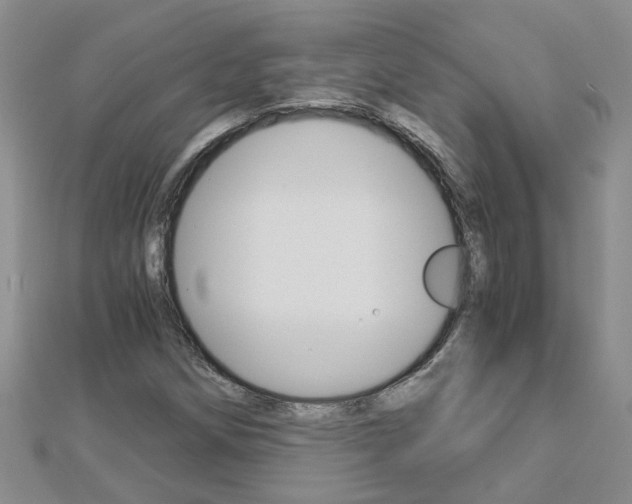 X0000112881258200908211044