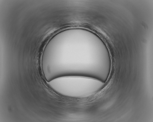 X0000112881259200908211044