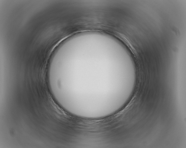 X0000112881260200908211044