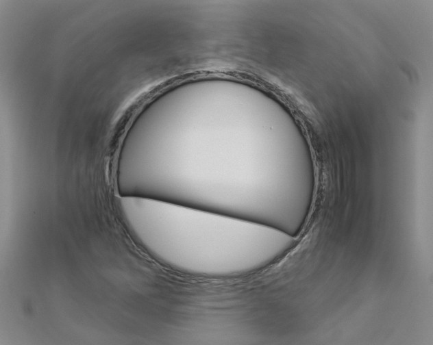 X0000112881262200908211044