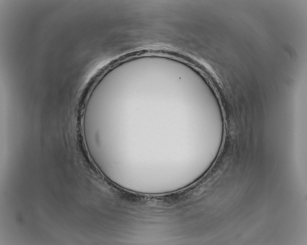 X0000112881263200908211044