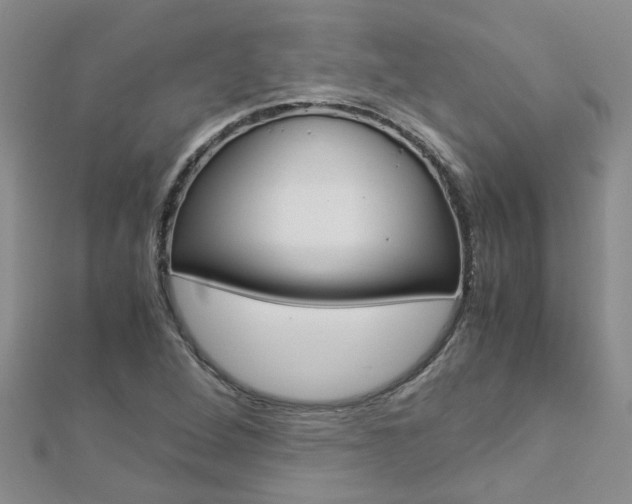 X0000112881264200908211044
