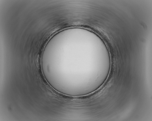 X0000112881265200908211044