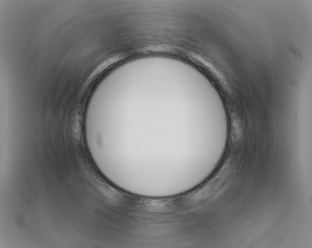 X0000112881266200908211044