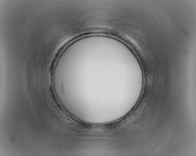X0000112881267200908211044
