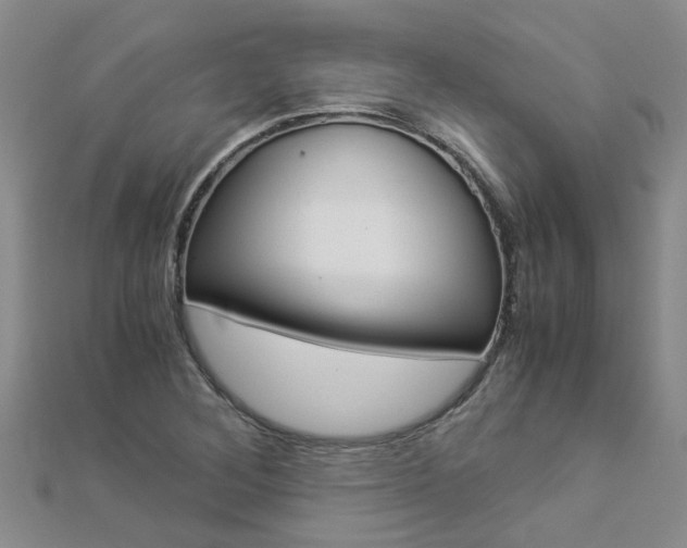 X0000112881268200908211044