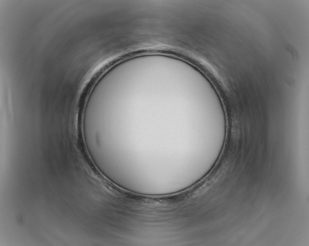 X0000112881270200908211044
