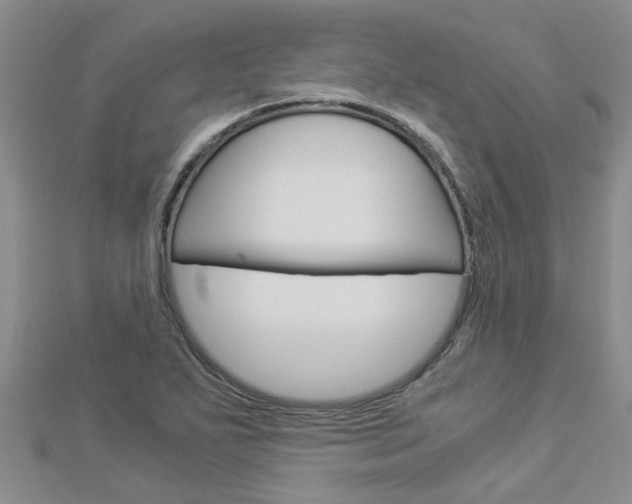 X0000112881271200908211044