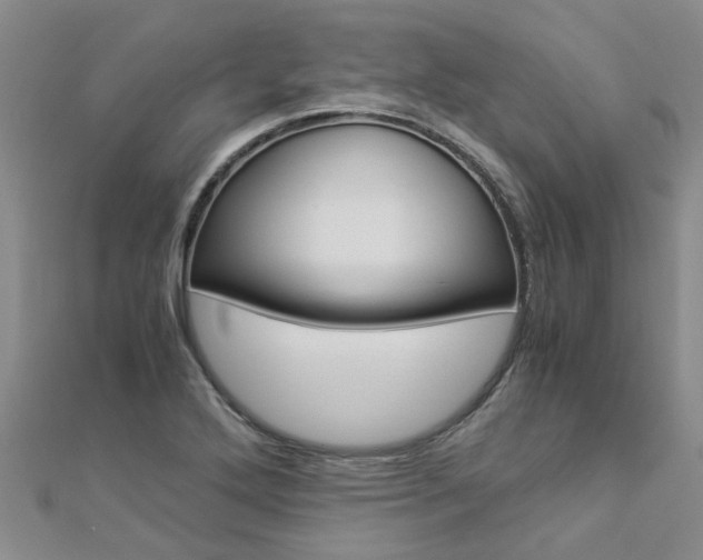 X0000112881272200908211044