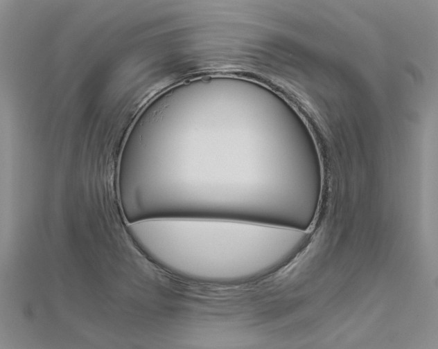X0000112881273200908211044
