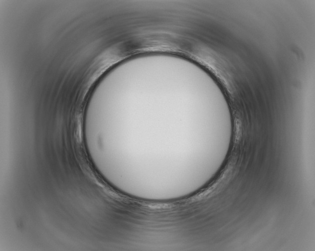 X0000112881274200908211044