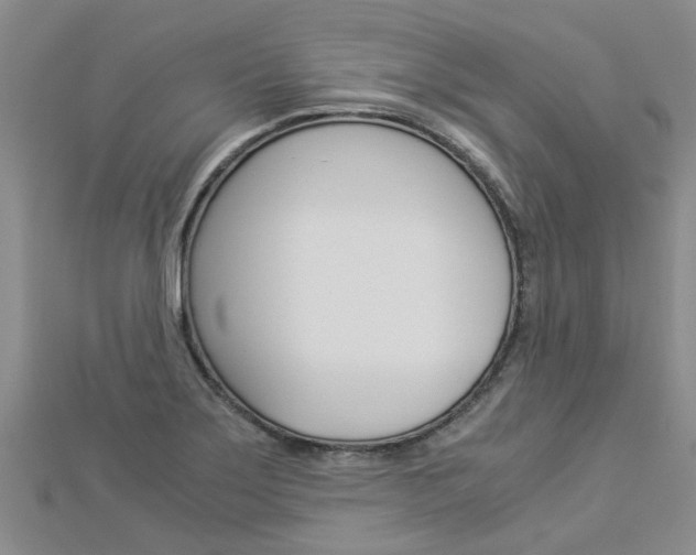 X0000112881275200908211044