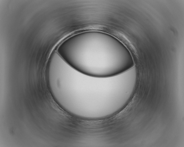 X0000112881276200908211044
