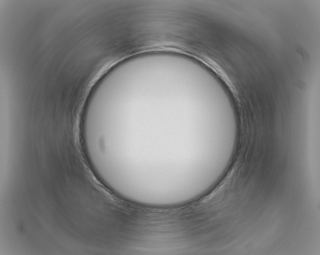 X0000112881277200908211044
