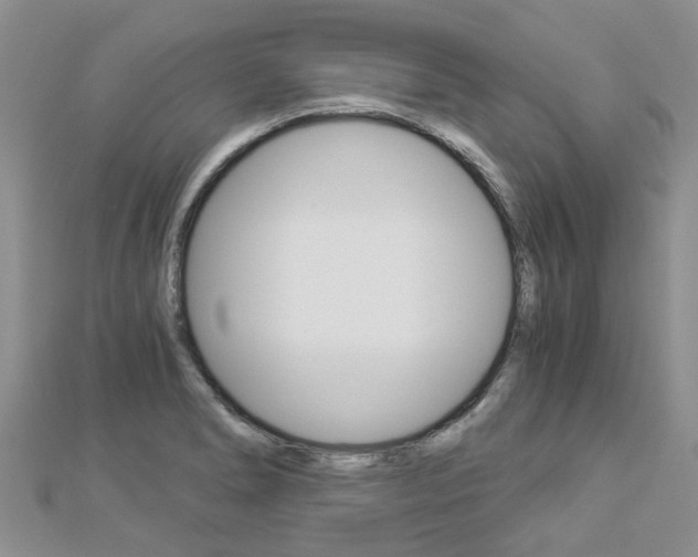 X0000112881278200908211044