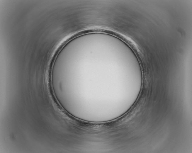 X0000112881279200908211044