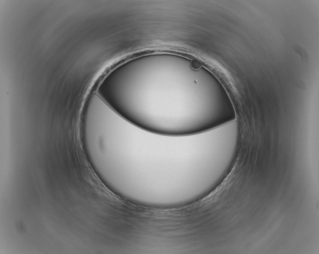X0000112881280200908211044
