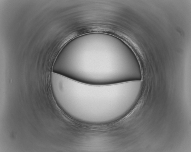X0000112881281200908211044
