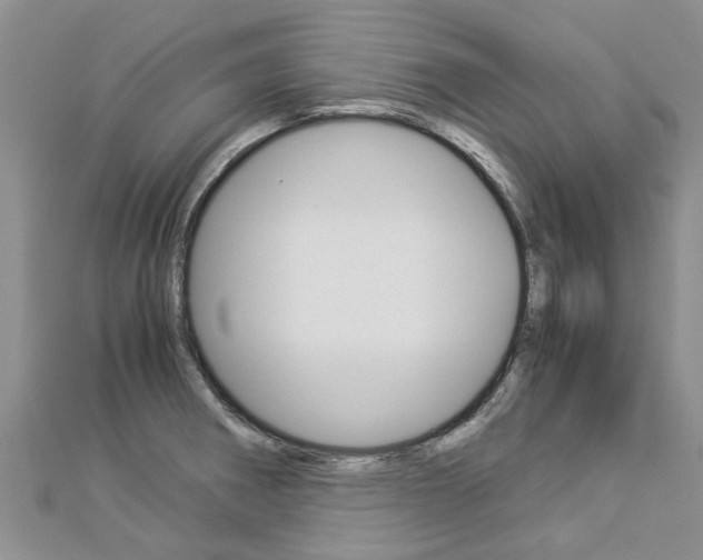 X0000112881282200908211044