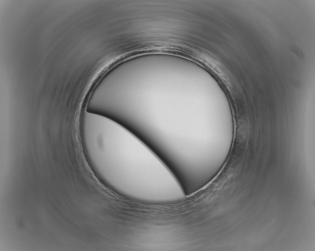X0000112881283200908211044