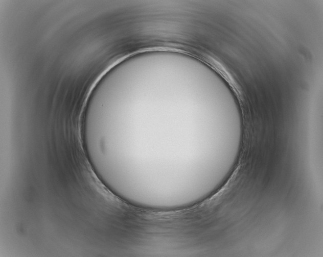 X0000112881284200908211043