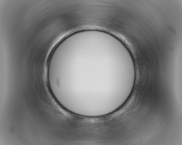 X0000112881286200908211043