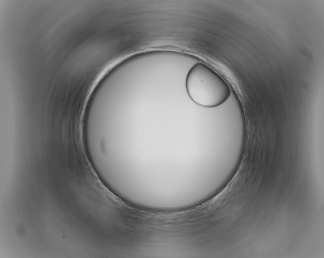 X0000112881288200908211043
