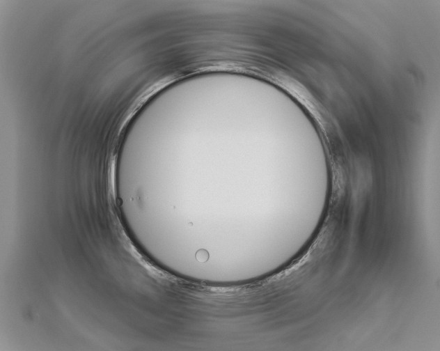 X0000112881290200908211043