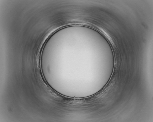 X0000112881291200908211043