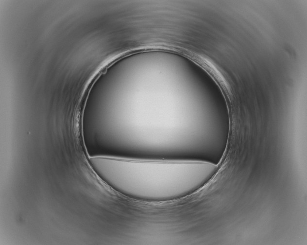 X0000112881292200908211043