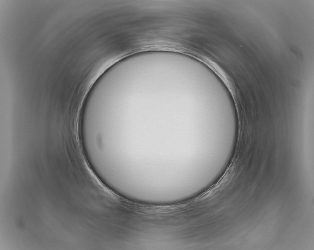 X0000112881293200908211043