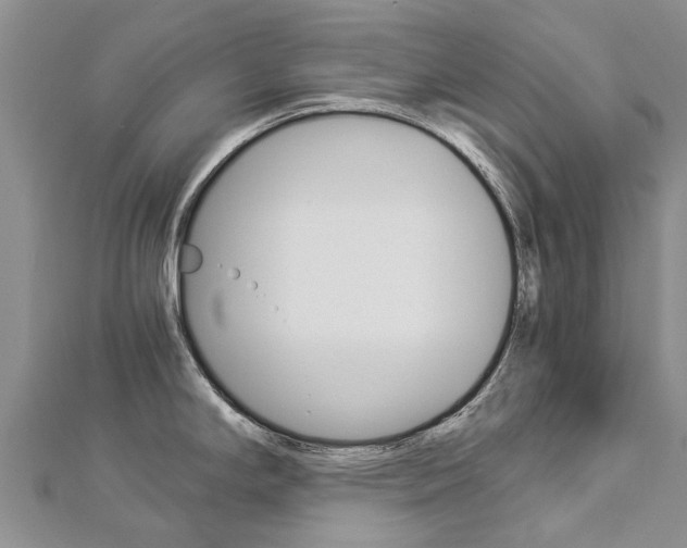 X0000112881294200908211043