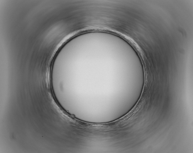 X0000112881295200908211043