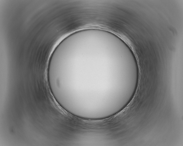 X0000112881296200908211043
