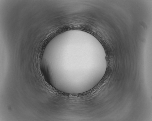 X0000112881297200908211043