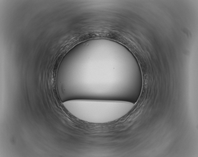 X0000112881298200908211043