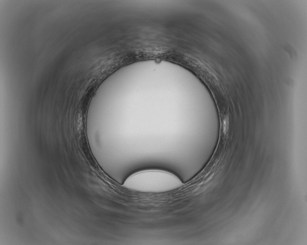 X0000112881299200908211043