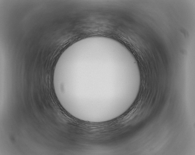 X0000112881300200908211043