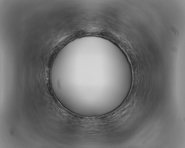 X0000112881301200908211043