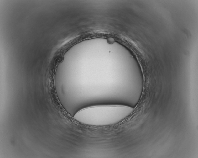 X0000112881303200908211043
