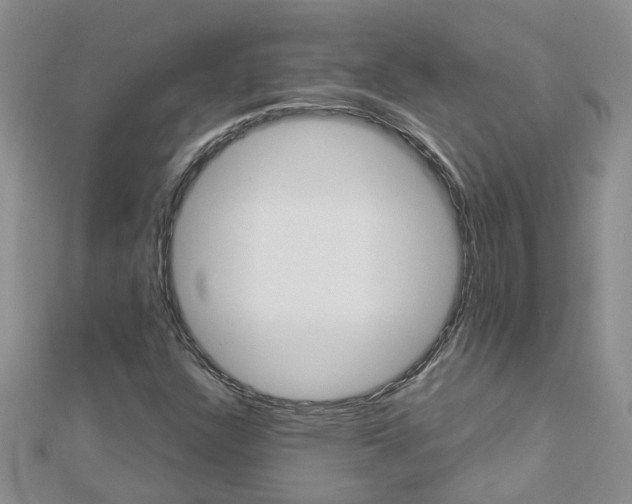 X0000112881304200908211043