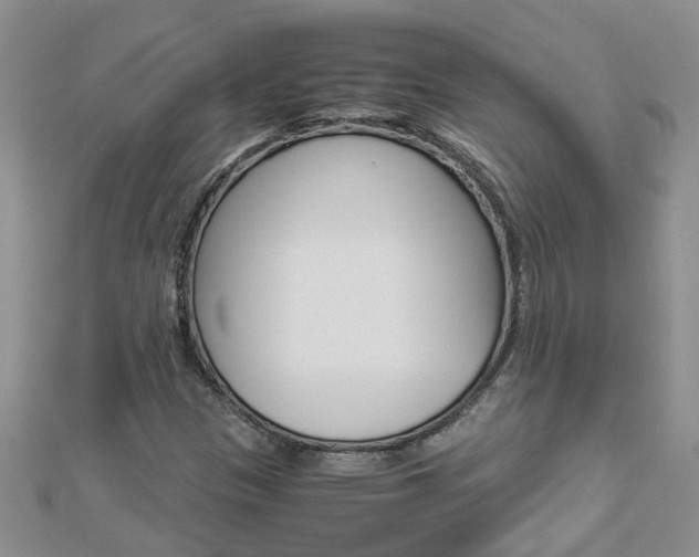 X0000112881305200908211043