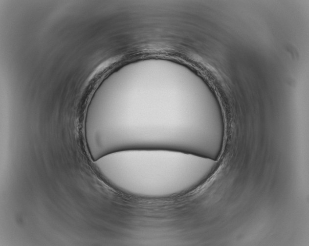X0000112881306200908211043