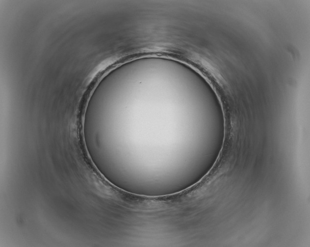 X0000112881308200908211043