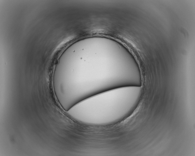 X0000112881309200908211043