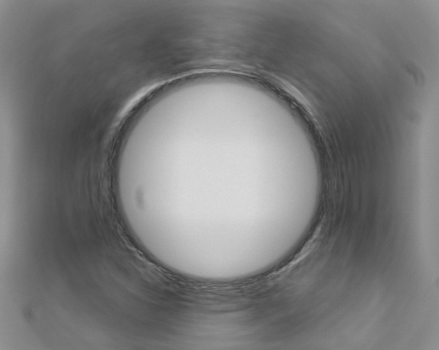 X0000112881310200908211043
