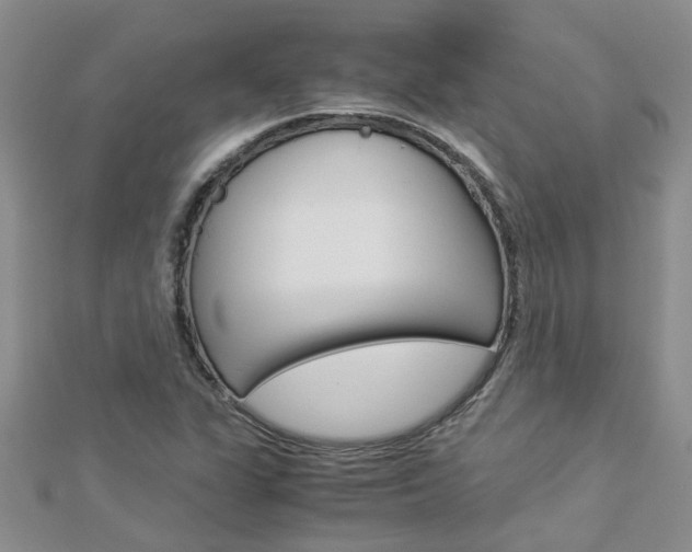 X0000112881311200908211043