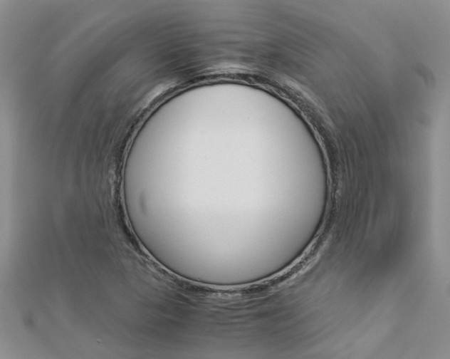 X0000112881313200908211043